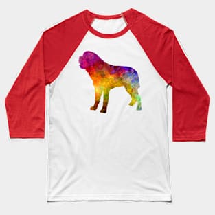 Saint Bernard in watercolor Baseball T-Shirt